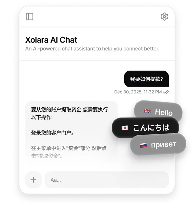 Xolara AI Real-time Translation Interface